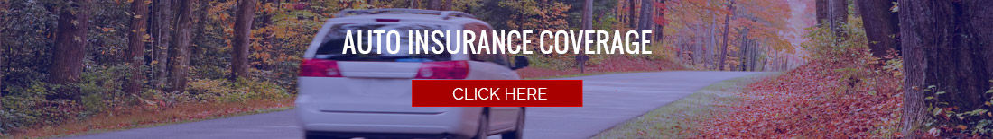 Save on Auto Insurance